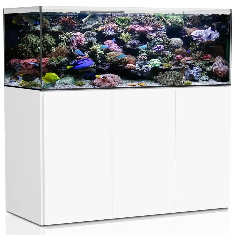 AQUA MEDIC Armatus 575 XD Meerwasser-Aquarium mit Unterschrankfiltersystem weiß Online Kaufen